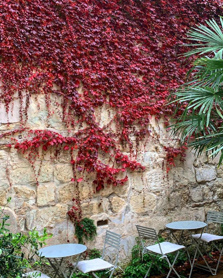 B&B La Maison Galiene 보르도 외부 사진